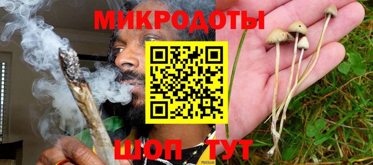 Галлюциногенные грибы Magic Shrooms Кумертау